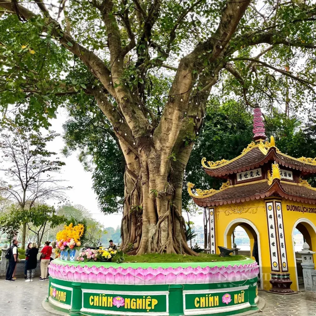 Chua Tran Quoc 042