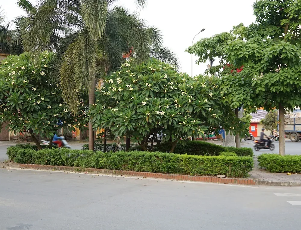 Chùa Hà Nội