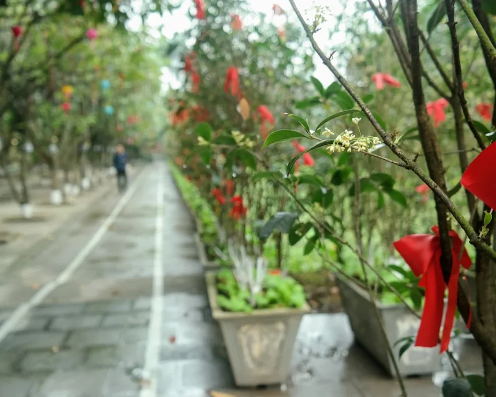 Chùa Hà Nội