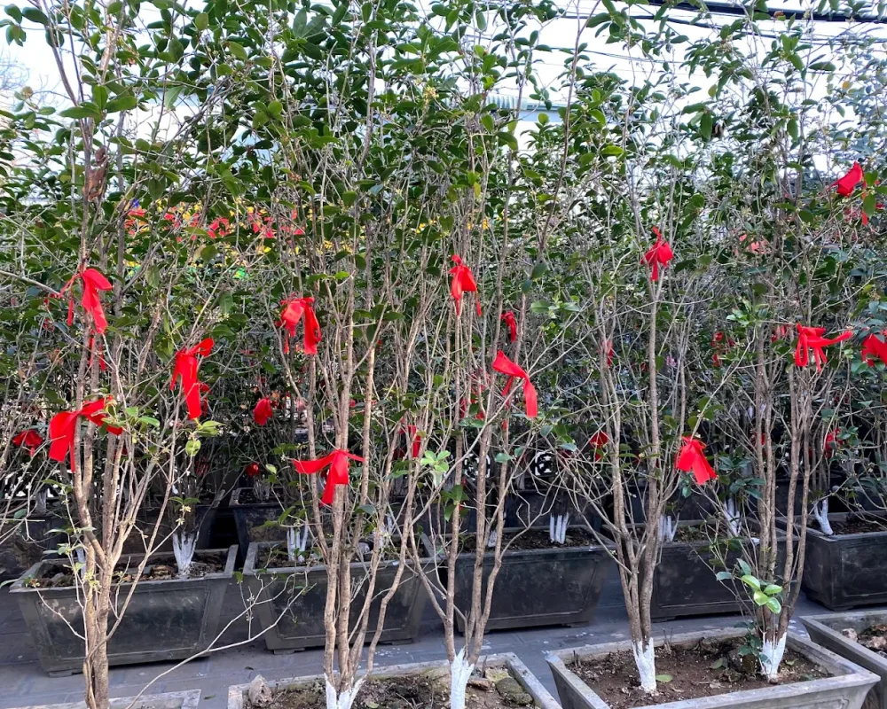 Chùa Hà Nội