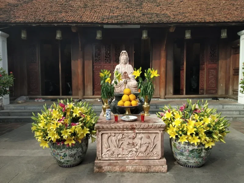 kham pha hanh trinh noi tam phat giao dan loi en binh an thuc su