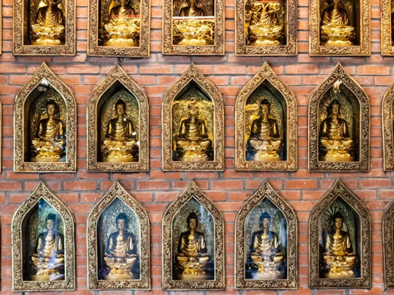 kham pha long tu bi trong oi song hanh trinh tu tam toi tinh yeu
