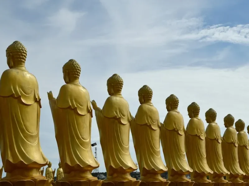 luat nhan qua trong phat giao la gi hieu ung e song ung