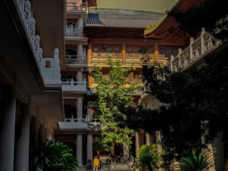 tinh thuc moi ngay kham pha hanh trinh mindfulness tu trong ra ngoai
