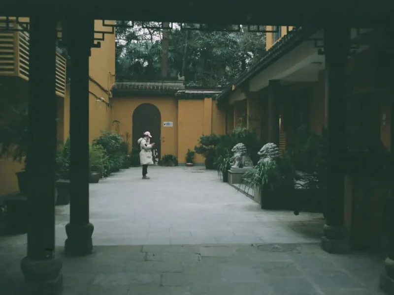 kham pha su khac nhau giua thien va niem phat hanh trinh tim kiem an lac