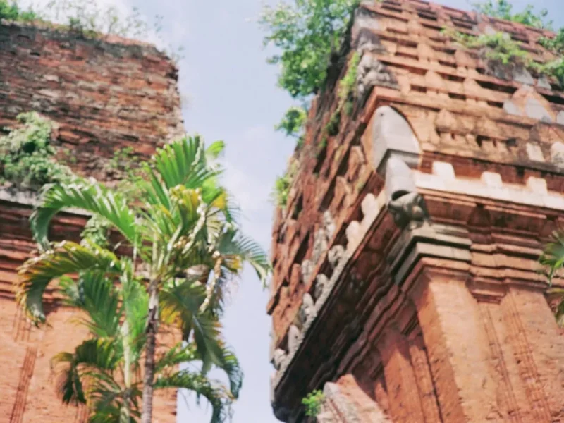 kham pha su tinh hoa cua phat giao huong dan cho nguoi moi nhap mon