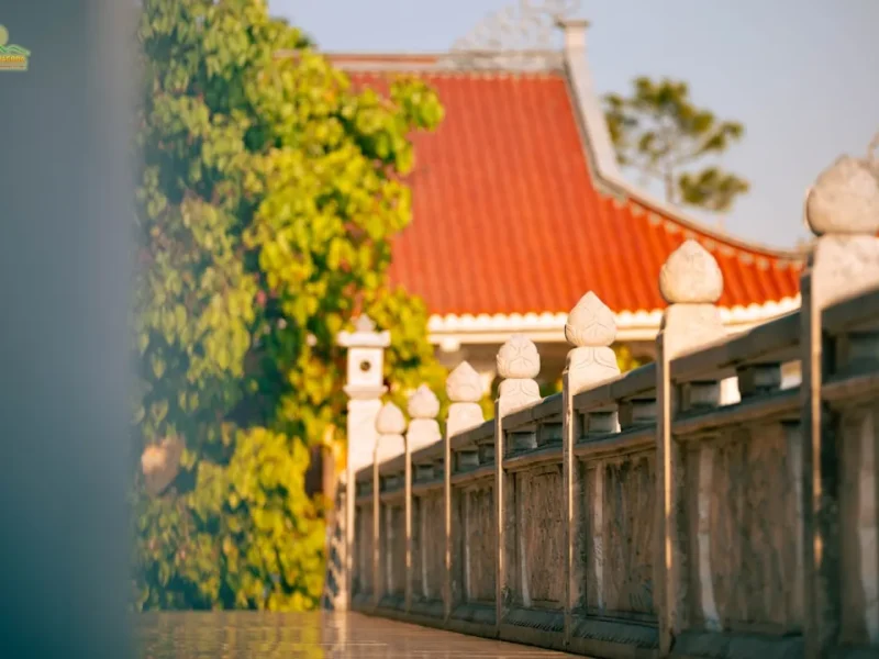 nhung phuong phap tu tai gia hieu qua danh cho nguoi moi bat au