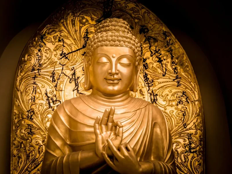 giai ma tu dieu e nhung chan ly giup ban tim kiem hanh phuc