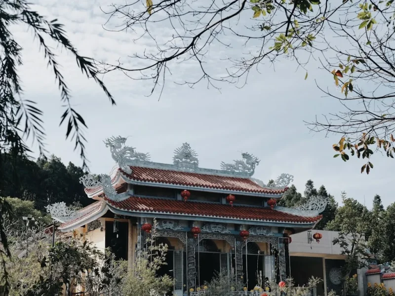 kham pha an lac tu an chay trong phat giao hanh trinh tam linh va suc khoe