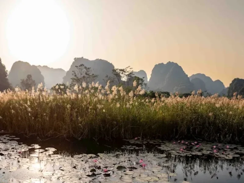 kham pha bat chanh ao con uong giac ngo trong phat giao