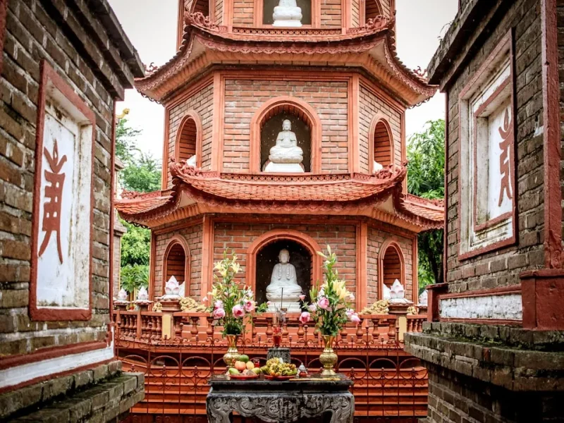 kham pha so menh nen tin hay khong trong chon lua cuoc oi