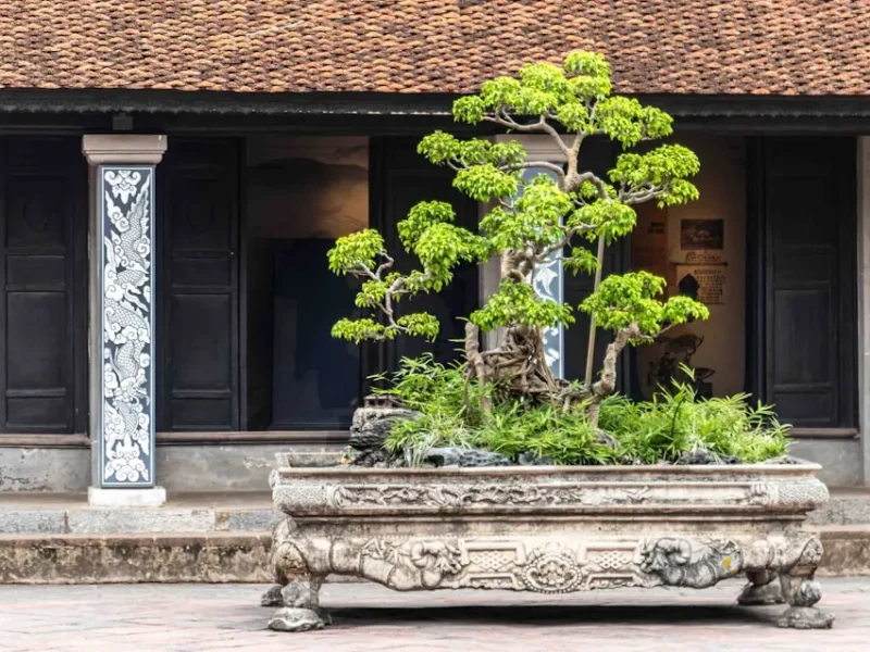 kham pha su thau hieu trong phat giao hanh trinh en tam an