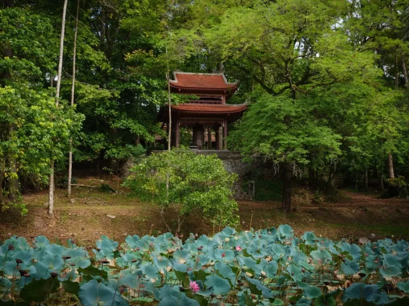 ngu gioi cam nang ung dung trong cuoc song uong ai