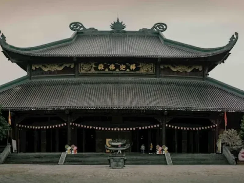 thien nhanh danh cho nguoi ban ron tim an lac trong tung khoanh khac