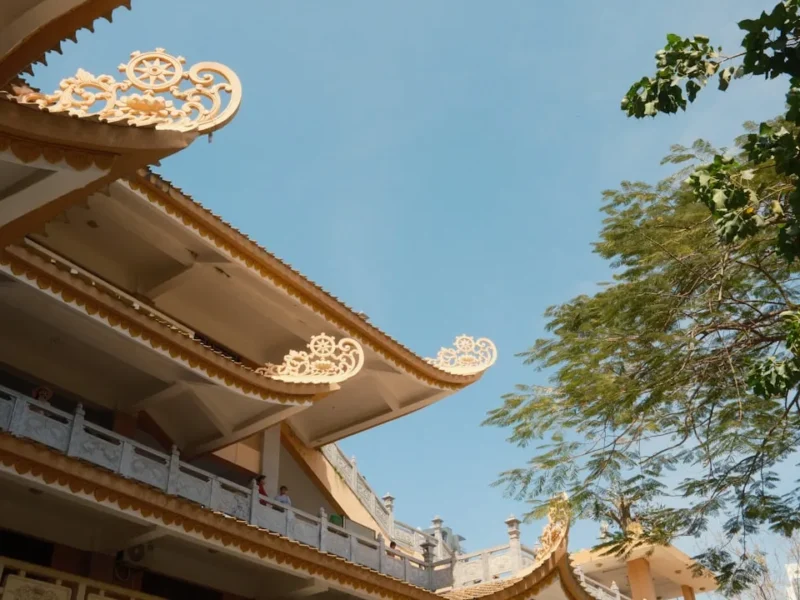 kham pha tam tu bi bi quyet nuoi duong long nhan ai trong oi song